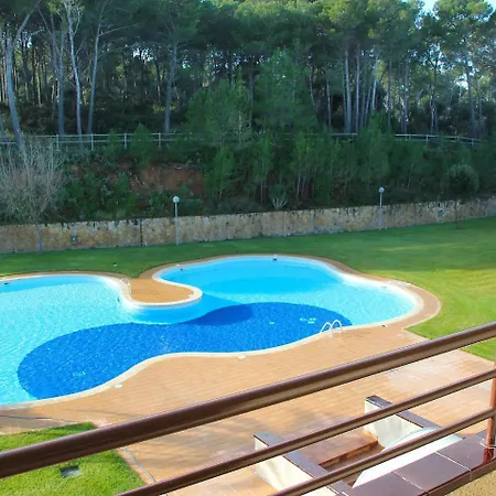 Golf Beach Tipo D Sup Pals